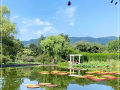 -国家植物园南园