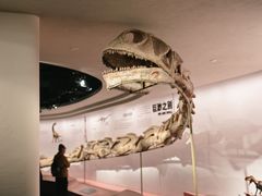 -自贡恐龙博物馆