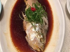 -贴阁碧(百丈东路店)