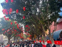 -越秀西湖花市(广州城市广场花卉店)