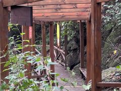 -大岭沟猕猴桃谷风景区