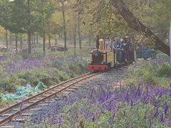 -静之湖湖畔餐厅