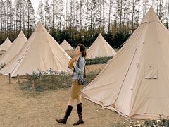 -上海长兴岛郊野公园