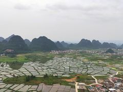 -会仙湿地