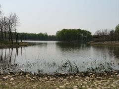 -东郊湿地公园