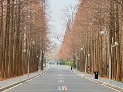 -日照海滨国家森林公园