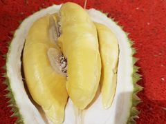 -都念榴莲·城市榴莲