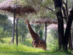 -北京野生动物园