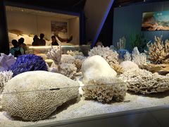 -贝林大翅鲸简餐厅(国家海洋博物馆店)