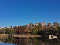 -前关湿地公园