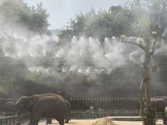 -野象谷景区
