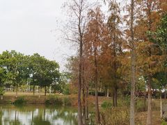 -飞来湖湿地公园