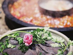 鲜毛肚-重庆渝达老火锅(春熙路店)