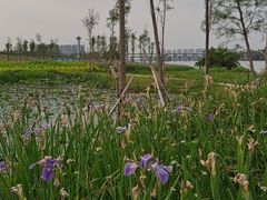 -南海湾森林生态园
