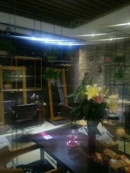 -MG Style Salon
