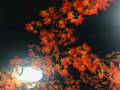 -番茄犟汤锅(东坝店)