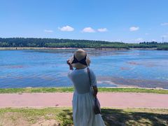-丁香湖公园