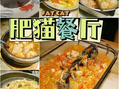 -肥猫(义乌万达店)