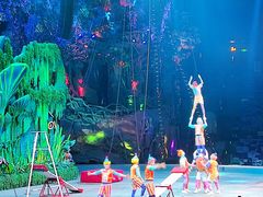 -广州长隆国际大马戏