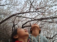 -东方饺子王(新奥购物中心店)