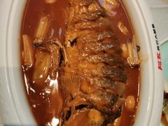 红烧黄河鲤鱼-阿五黄河大鲤鱼(英协路店)