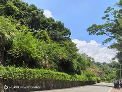 -火炉山森林公园