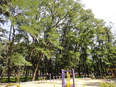 -二一九公园