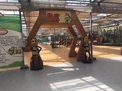-龙达温泉生态城