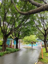 -广州市儿童公园
