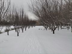 -太阳宫公园
