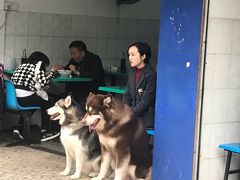 -甘记肥肠粉(马鞍北路店)