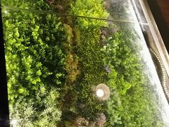 -炭舍干锅·烤鱼(扬名广场店)