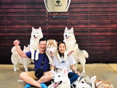 -TrueLove @ Neverland (Husky Cafe)