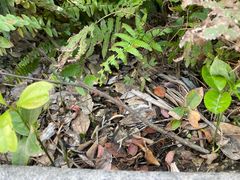 -海兰云天度假区温泉