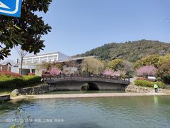 -树山生态村