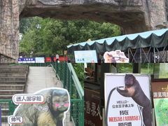 -合肥野生动物园