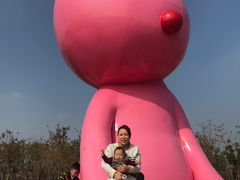 -上海浦江郊野公园-5号停车场