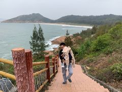 -广东惠东海龟国家级自然保护区