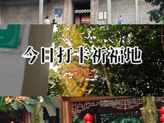 -广州市帽峰山景区