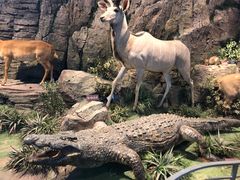 -陕西自然博物馆