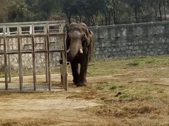 -西安秦岭野生动物园