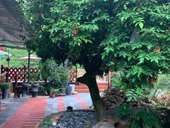 -长泰漂流水陆空景区