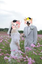 -金夫人婚纱摄影(华南店)