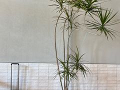 -天虹购物中心(深圳龙华店)