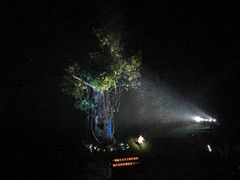 -婺源梦里老家大型山水实景演出