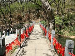 -句容茅山景区