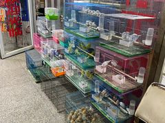 -宝鸡东道花鸟鱼虫市场(吉利花园商场店)