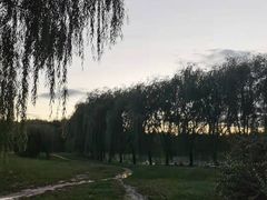 -东坝千亩湖公园