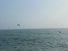 -金紫荆松骨休闲水会