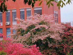 -华南师范大学(广州大学城校区)